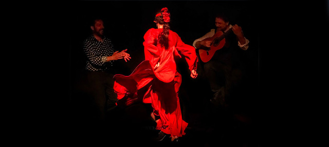 flamenco