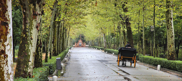 parque