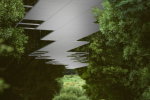 Instaladores de falsos techos acústicos Ecophon